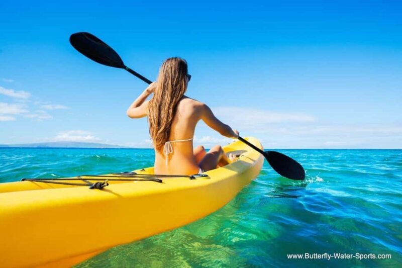 Kayak Tour from Tuepi - The Sum Up: Why This Tour Is a Great Choice