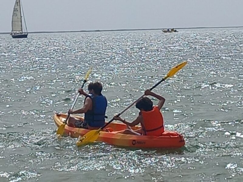 Kayak Tour in Ria Formosa - Olhão - Key Points