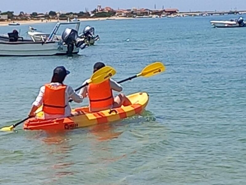 Kayak Tour in Ria Formosa - Olhão - Who Will Love This Tour?