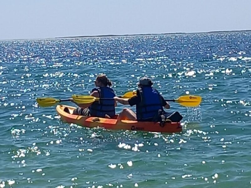 Kayak Tour in Ria Formosa - Olhão - The Sum Up