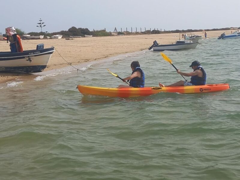 Kayak Tour in Ria Formosa - Olhão - FAQs