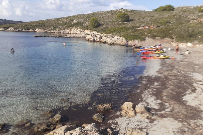 Kayak Tour in the Marine Reserve ! - A Closer Look at the Kayak Tour Experience