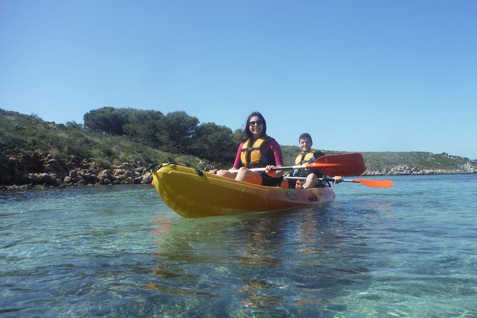 Kayak Tour in the Marine Reserve ! - What the Tour Covers