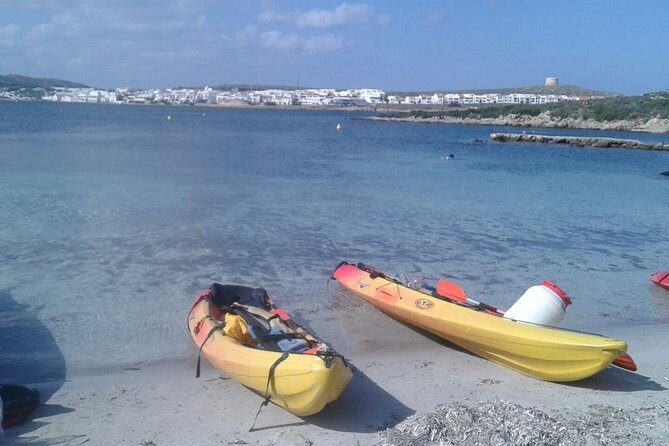 Kayak Tour in the Marine Reserve ! - Final Thoughts