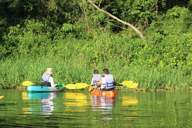 Kayak Tour in Tortuguero Canals with Tourist Guide - Key Points