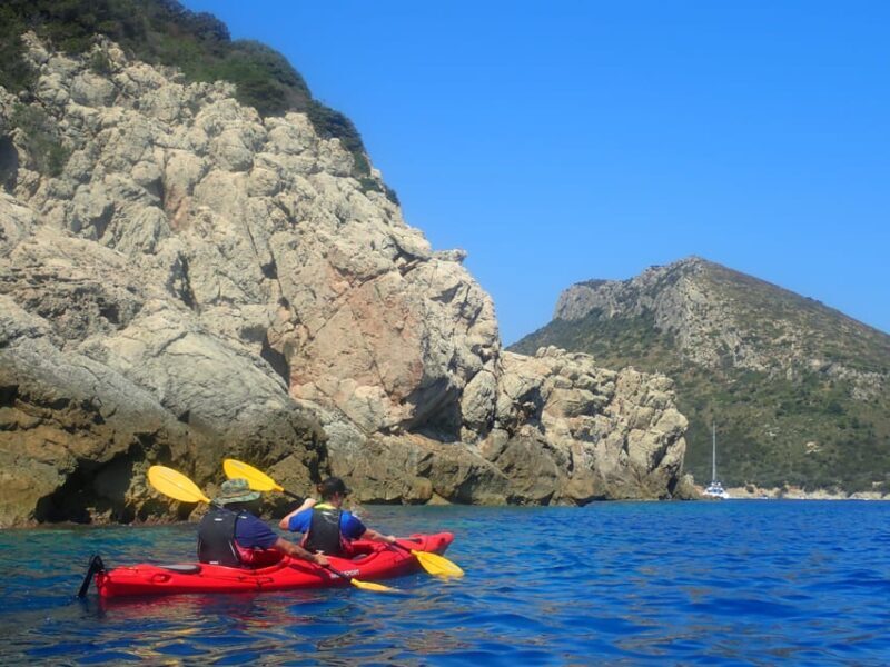 Kayak Tour of Capo Figari, Golfo Aranci (3 hours) - What to Expect from the Tour