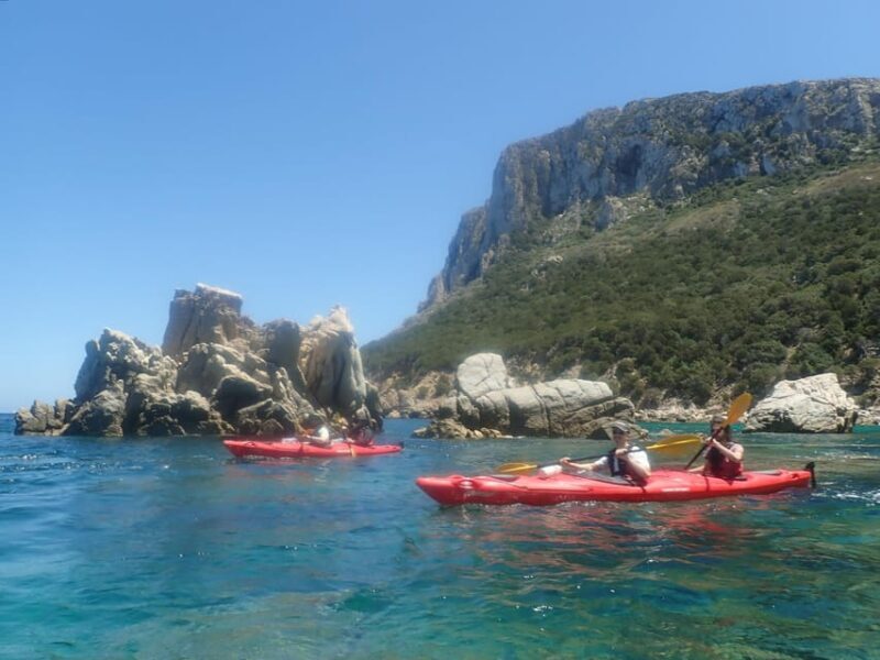 Kayak Tour of Capo Figari, Golfo Aranci (3 hours) - What Travelers Say