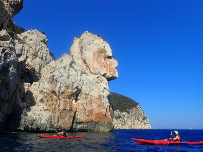 Kayak Tour of Capo Figari, Golfo Aranci (3 hours) - Pricing and Value