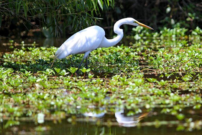 Kayak Tour of Lake James - Key Points