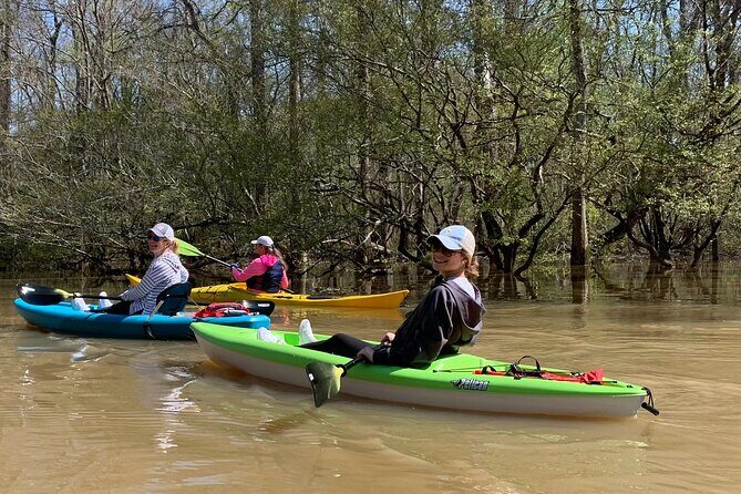 Kayak Tour Of The Honey Island Swamp and Backwaters - Why This Tour Works for Travelers
