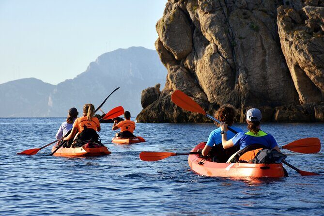 Kayak tour with aperitif and dolphins - Why this kayak tour offers great value
