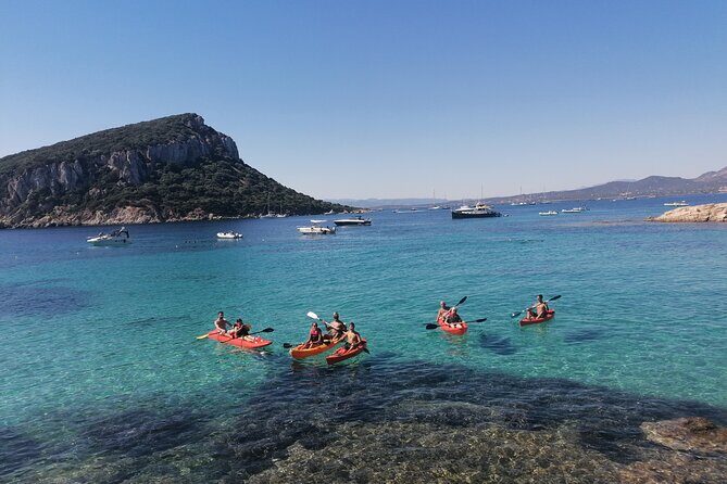 Kayak tour with aperitif and dolphins - Frequently Asked Questions