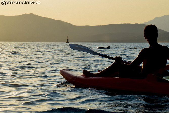 Kayak tour with aperitif and dolphins - Final thoughts