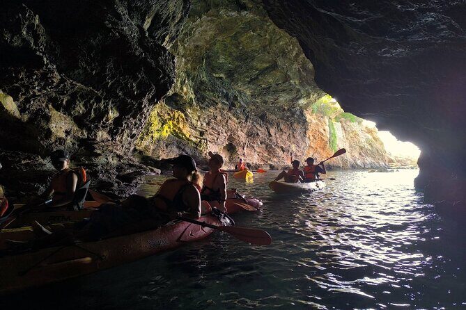 Kayak Tour with Snorkeling and Picnic - Key Points