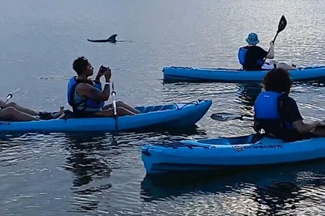 Kayak Tours and Rentals. Dolphins, Manatees, and Bioluminescence! - Exploring the Heart of Cocoa Beach’s Waterways