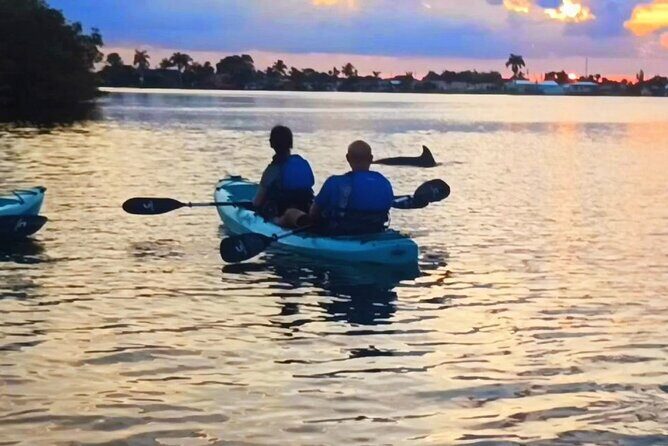 Kayak Tours and Rentals. Dolphins, Manatees, and Bioluminescence! - Final Thoughts: Who Should Join?