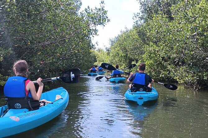 Kayak Tours and Rentals. Dolphins, Manatees, and Bioluminescence! - FAQs