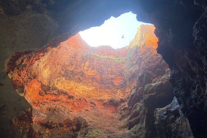 Kayak Tours with Amazing Caves, sea life and Marine Biologist . - FAQs