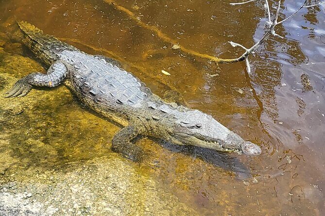Kayak Trip, 1 Wet Hike + 2 dry hikes in Everglades National Park - A Few Considerations