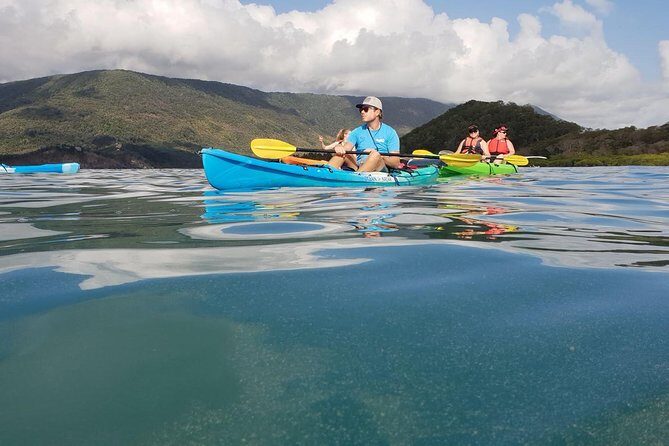 Kayak Turtle Tour from Palm Cove - Final Thoughts: Is It Worth It?