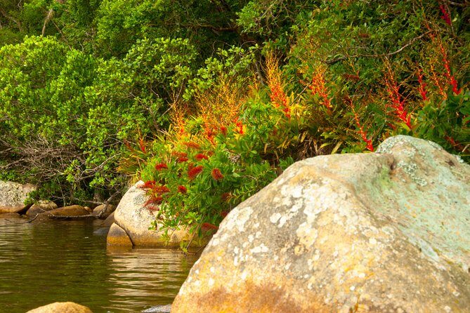 Kayak Water Trail in Red River Park by Adrenailha - The Group Experience and Guides