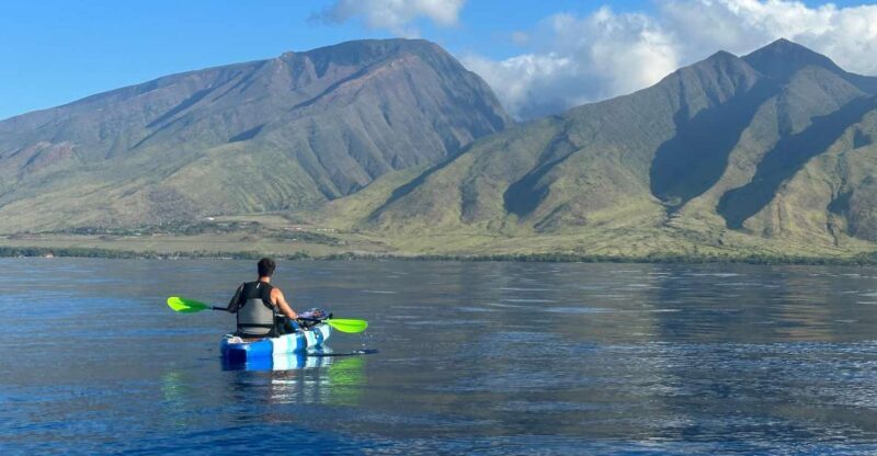 Kayak, Whale Watch And Snorkel At Turtle Town - An Authentic Maui Marine Adventure