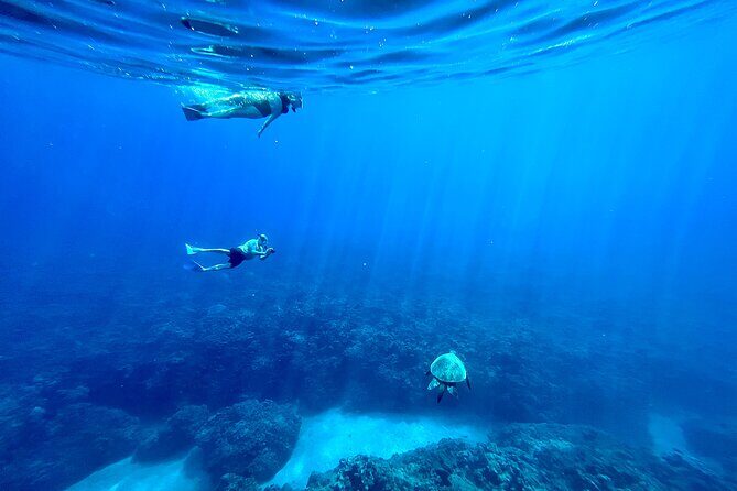 Kayak, Whale Watch, and Snorkel With Optional Photo and Video - Exploring Maui’s Waters: A Deep Dive into the Kayak, Whale Watch, and Snorkel Tour