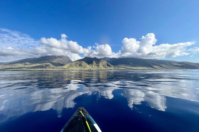 Kayak, Whale Watch, and Snorkel With Optional Photo and Video - The Sum Up