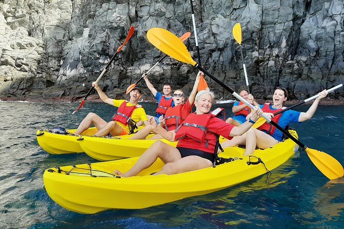 Kayak with Dolphin & Turtle Watching Private Tour - Exploring Tenerife’s Marine Wonders on a Private Kayak Tour