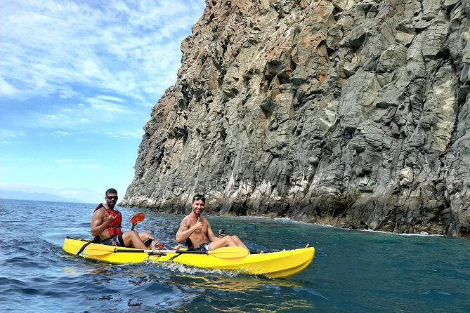 Kayak with Dolphin & Turtle Watching Private Tour - Key Points