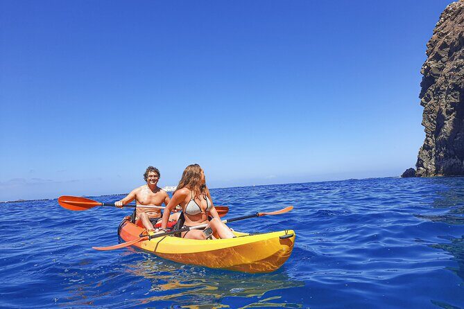 Kayak with Dolphin & Turtle Watching Private Tour - Who Will Love This Tour?