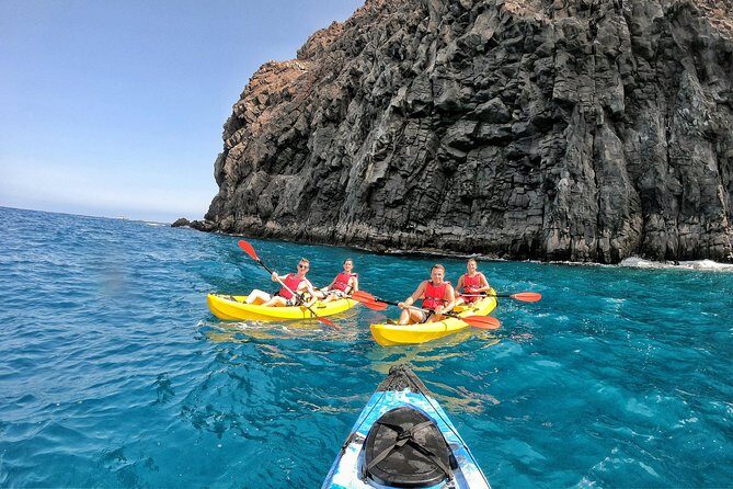Kayak with Dolphin & Turtle Watching Private Tour - Final Thoughts