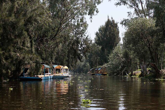 Kayaking adventure through the Xochimilco and Frida Kahlo Canals - A Detailed Look at the Tour Experience