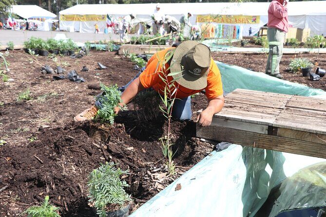 Kayaking adventure through the Xochimilco and Frida Kahlo Canals - Frequently Asked Questions
