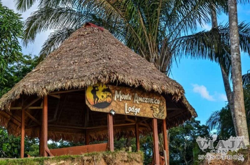 Kayaking and Monkey Island: One Day from Puerto Maldonado - The Sum Up: Is This Tour Right for You?