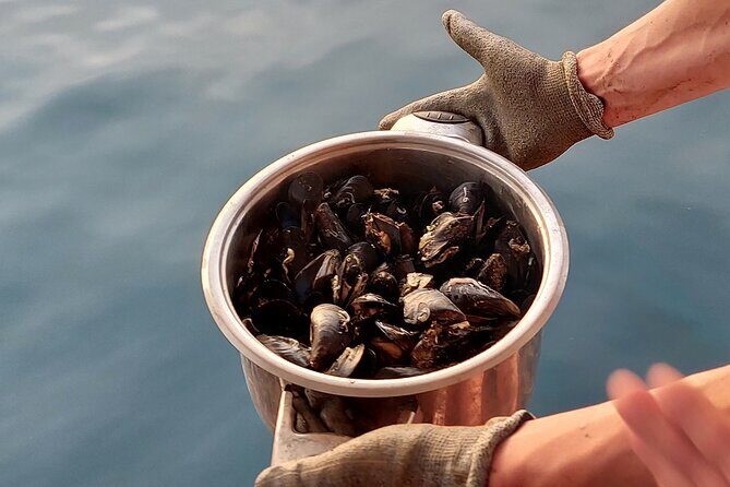 Kayaking and mussels tasting at Krka River estuary-private tours - What to Expect from the Equipment and Logistics