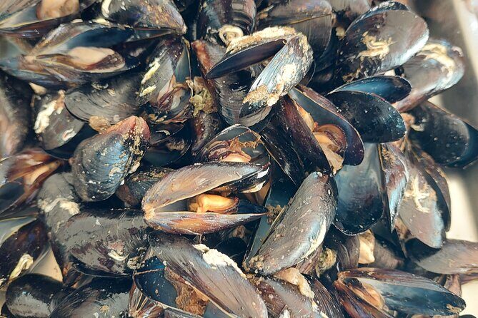 Kayaking and mussels tasting at Krka River estuary-private tours - Who Is This Tour Best For?