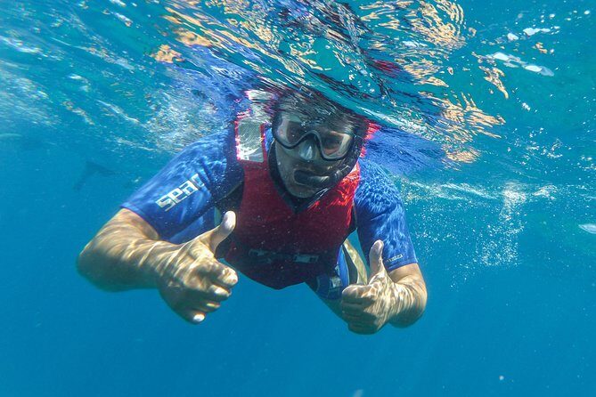 Kayaking and snorkeling - Why Travelers Love This Tour