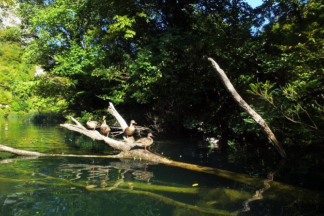 Kayaking and Snorkeling in Omi - Kayaking and Snorkeling in Omi: An Adventure on Croatia’s Waterways