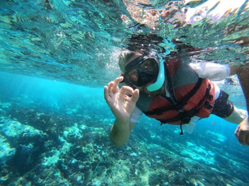 Kayaking and Snorkeling with Turtles - The Sum Up: Is This Tour Right for You?