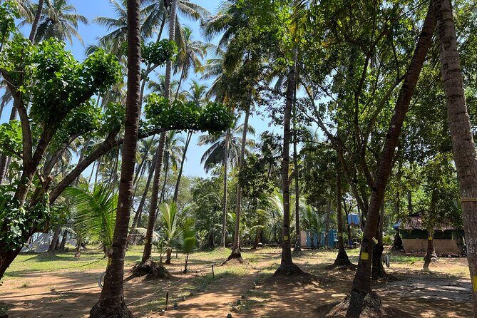 Kayaking At Private Island In Goa - Final Thoughts