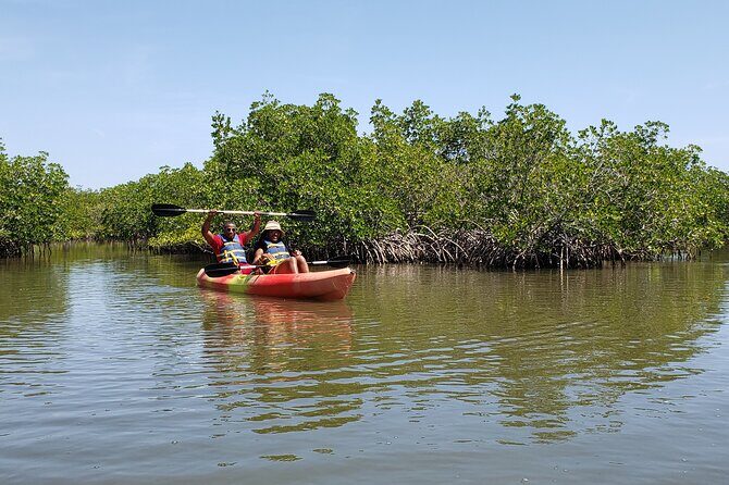 Kayaking Backwaters of New Smyrna Beach Ecotour/Birdwatching - Engaging Intro