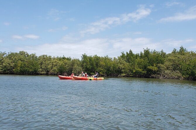 Kayaking Backwaters of New Smyrna Beach Ecotour/Birdwatching - Key Points