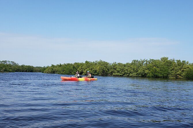 Kayaking Backwaters of New Smyrna Beach Ecotour/Birdwatching - Deep Dive into the Experience