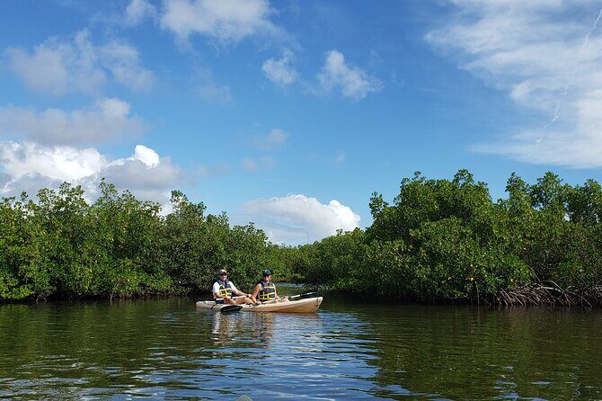 Kayaking Backwaters of New Smyrna Beach Ecotour/Birdwatching - The Sum Up