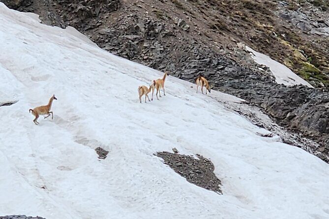 Kayaking Day Trip in the Andes from Santiago - Quick Overview: Kayaking in the Heart of the Andes from Santiago