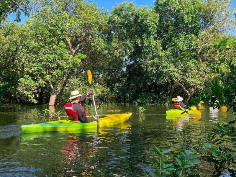 Kayaking & Floating Village in Siem Reap - Key Points