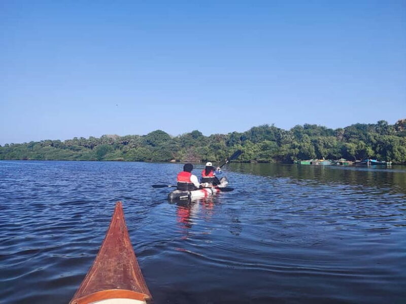 Kayaking in Backwaters of Pondicherry - Kayaking in Backwaters of Pondicherry: A Peaceful Escape into Nature