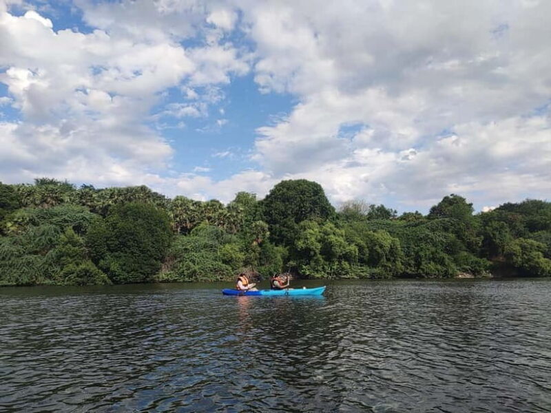 Kayaking in Backwaters of Pondicherry - Key Points