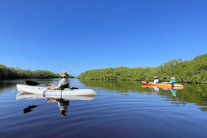 Kayaking in the Mangroves Experience - The Importance of Authentic, Community-Driven Experiences